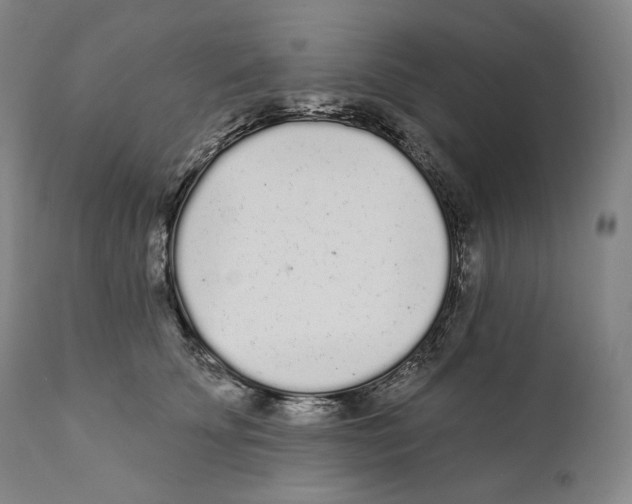 X0000110720707200907101404