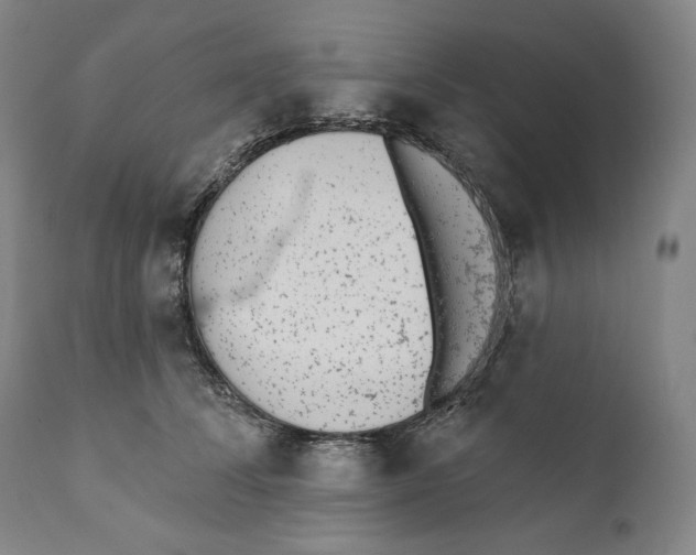 X0000110720708200907101404