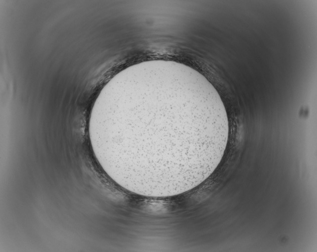 X0000110720710200907101404