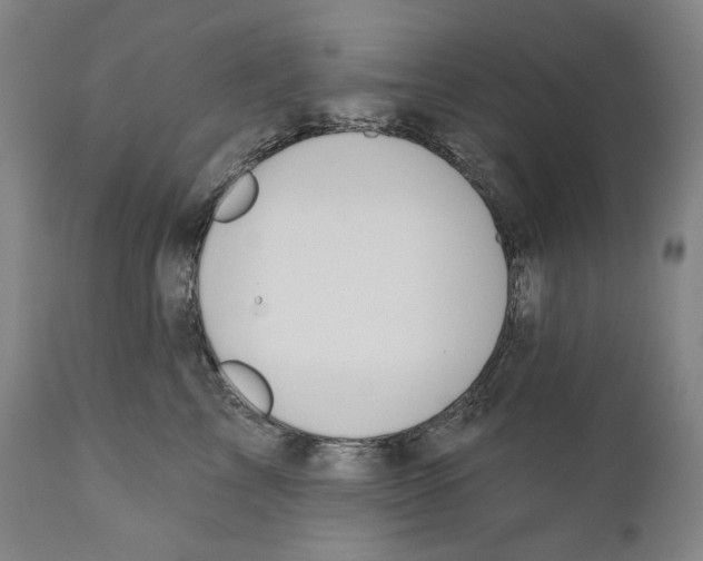 X0000110720713200907101404