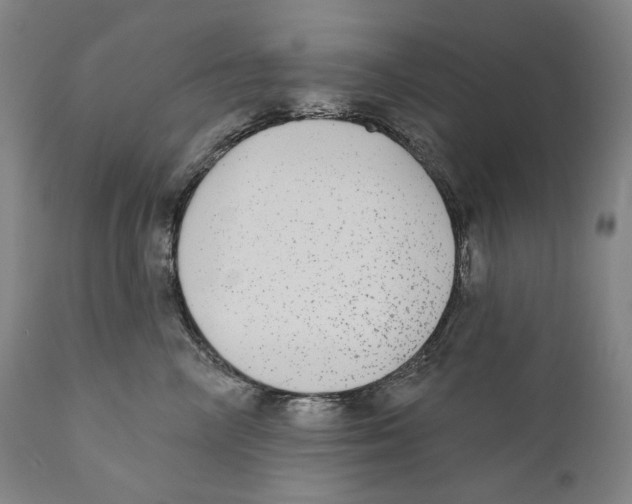 X0000110720714200907101404