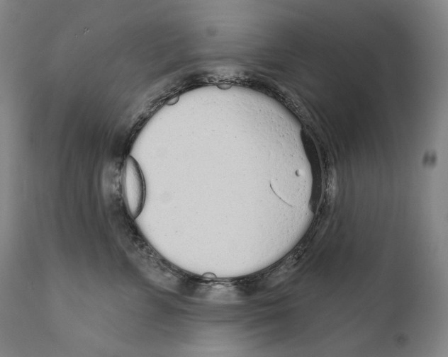 X0000110720715200907101404