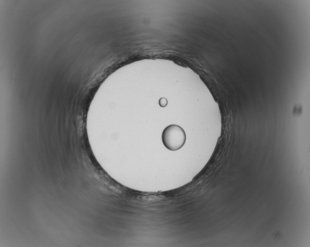 X0000110720716200907101404