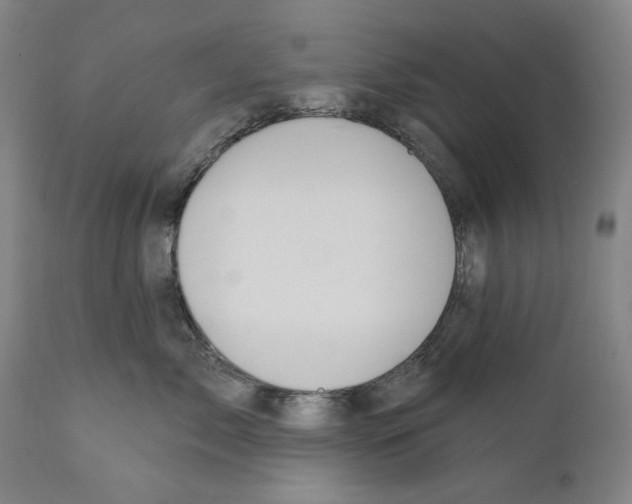 X0000110720717200907101404