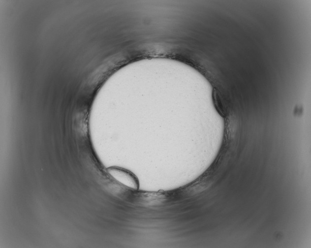 X0000110720719200907101404