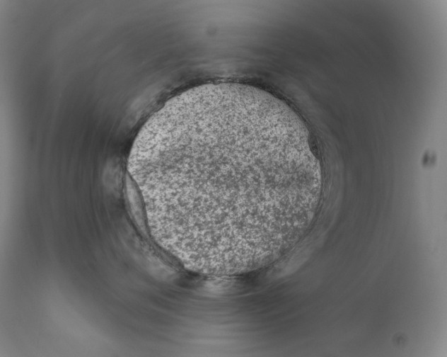 X0000110720720200907101404