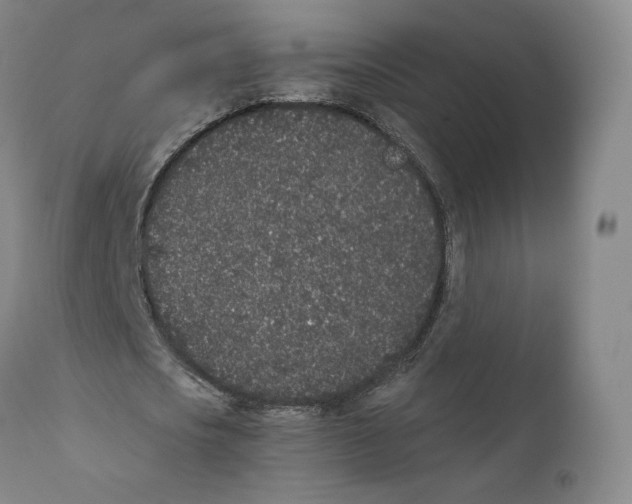 X0000110720721200907101403