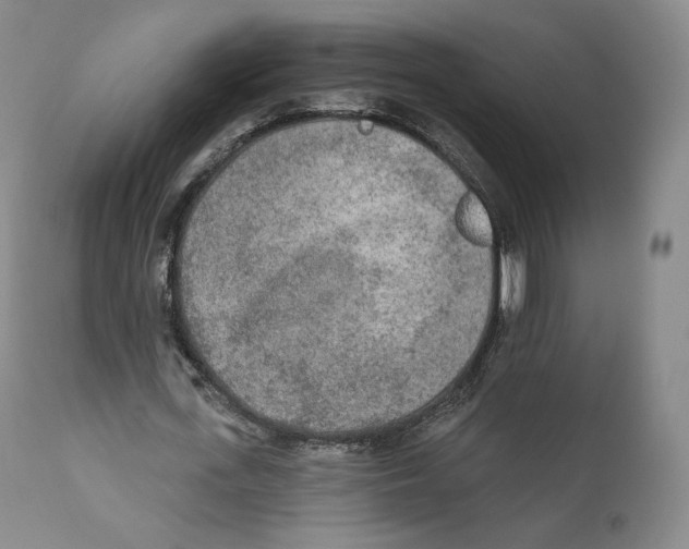 X0000110720723200907101403