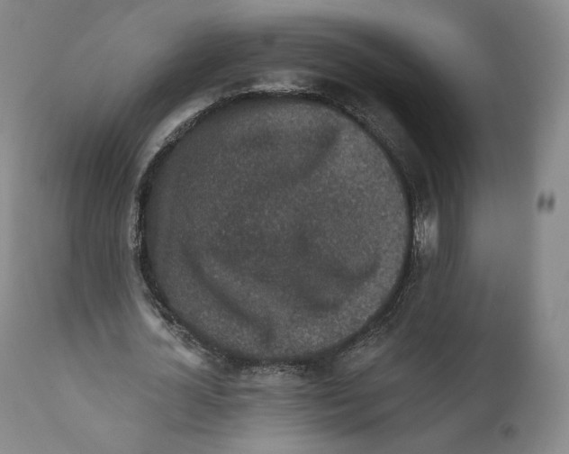 X0000110720724200907101403