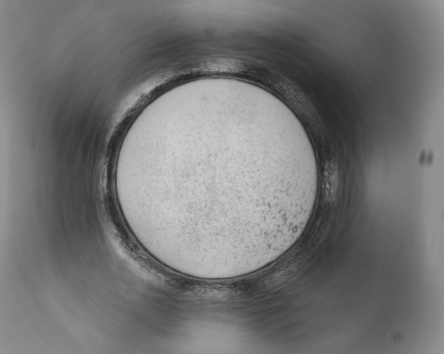 X0000110720726200907101403