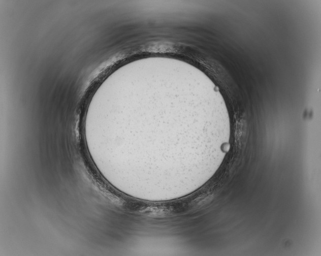 X0000110720727200907101403