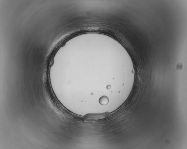 X0000110720728200907101403