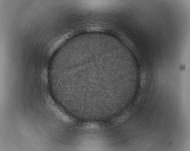 X0000110720729200907101403