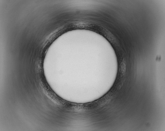 X0000110720733200907101403