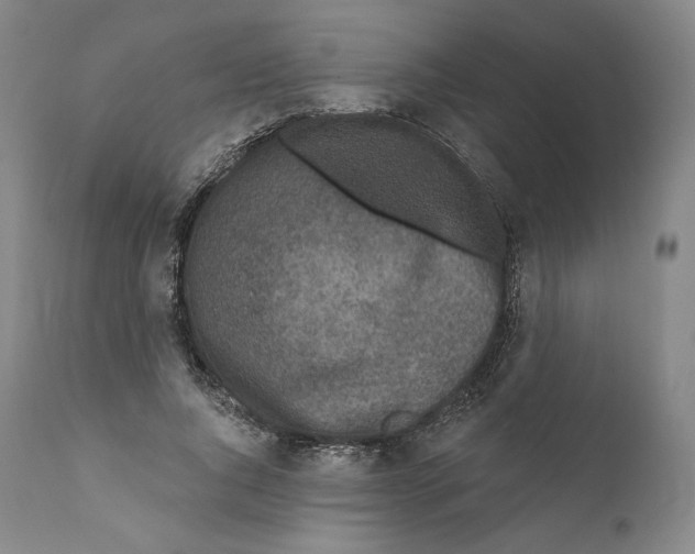 X0000110720736200907101403