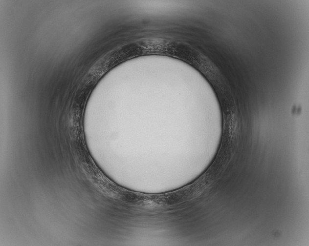 X0000110720737200907101403