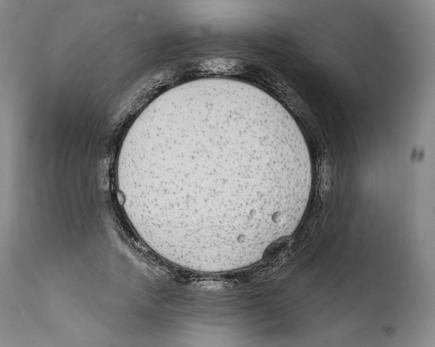 X0000110720738200907101403