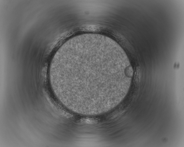 X0000110720739200907101403