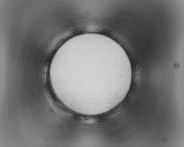 X0000110720742200907101403