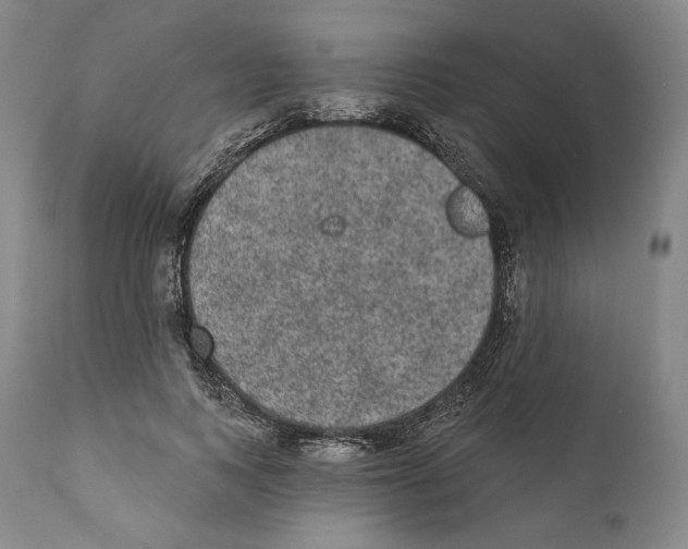 X0000110720743200907101403