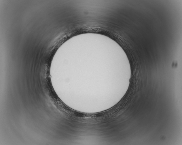 X0000110720744200907101403