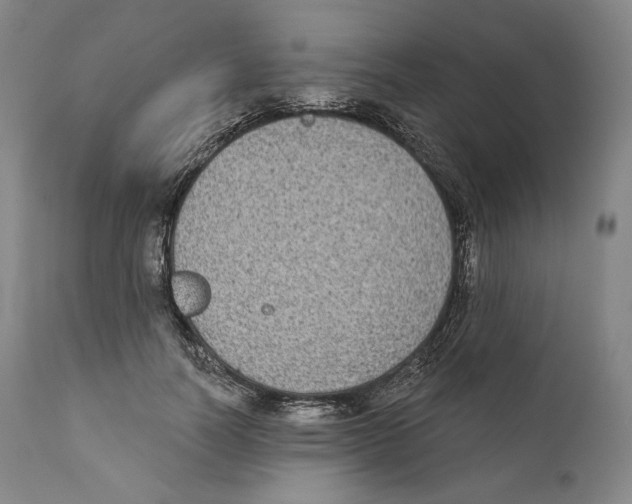 X0000110720746200907101403