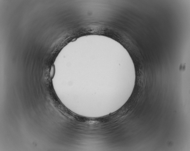 X0000110720748200907101404