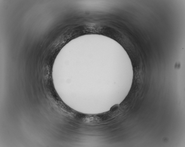 X0000110720752200907101404