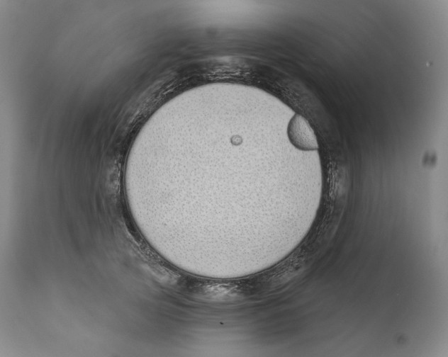 X0000110720753200907101404