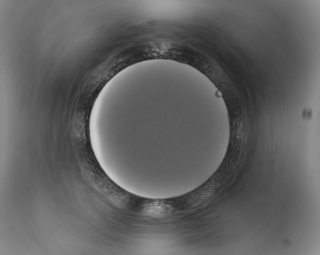 X0000110720754200907101404