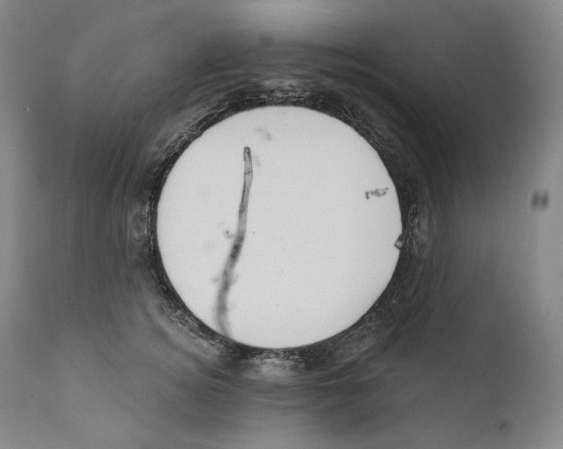 X0000110720756200907101404