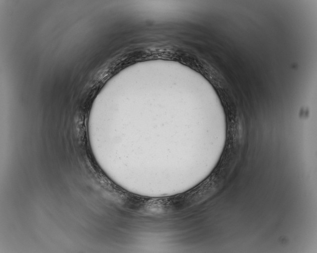 X0000110720757200907101404