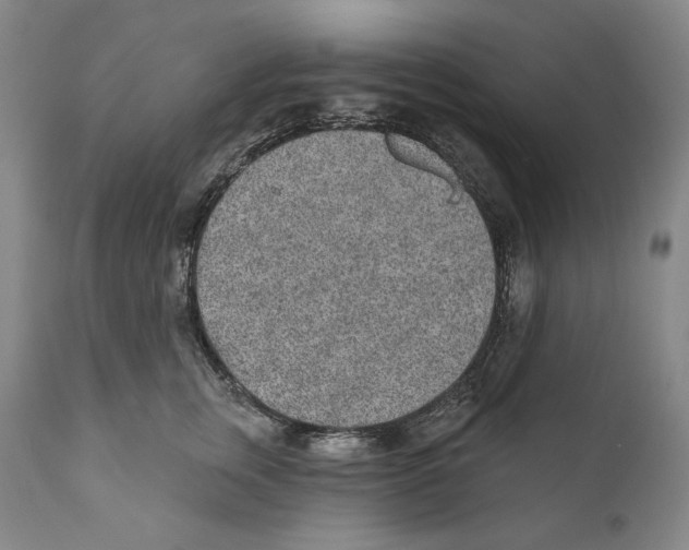 X0000110720759200907101404