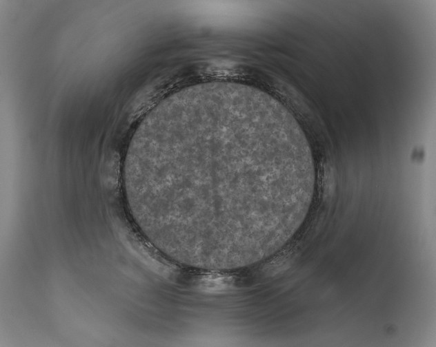 X0000110720760200907101404