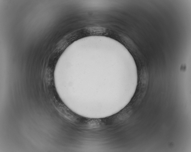 X0000110720761200907101404