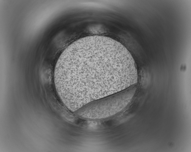 X0000110720762200907101404