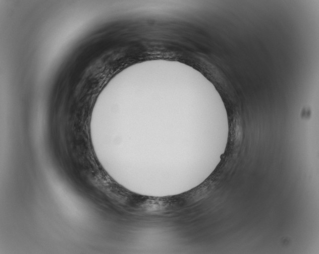 X0000110720764200907101404