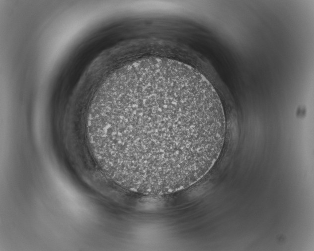 X0000110720765200907101404