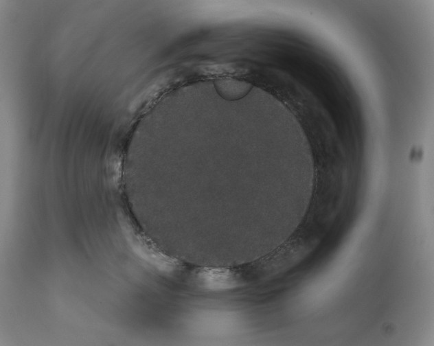 X0000110720767200907101404