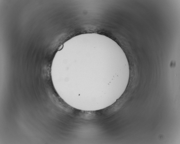 X0000110720768200907101404