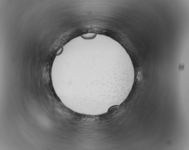 X0000110720771200907101403