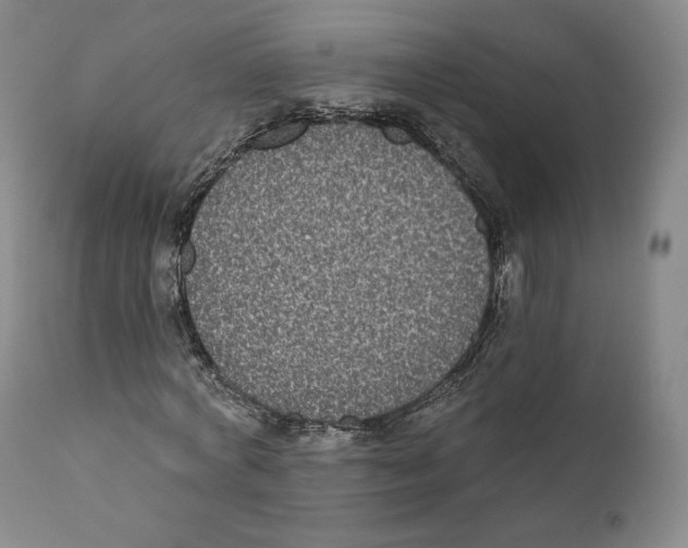 X0000110720772200907101403