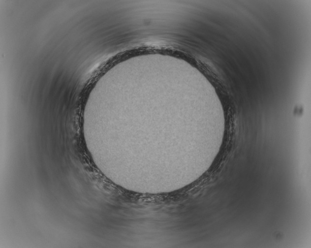 X0000110720776200907101403