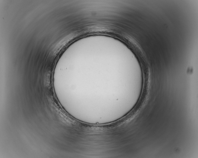 X0000110720777200907101403