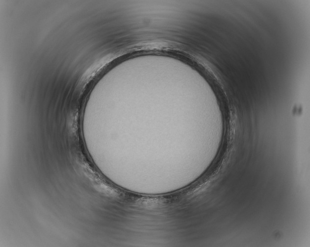 X0000110720778200907101403