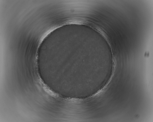 X0000110720779200907101403