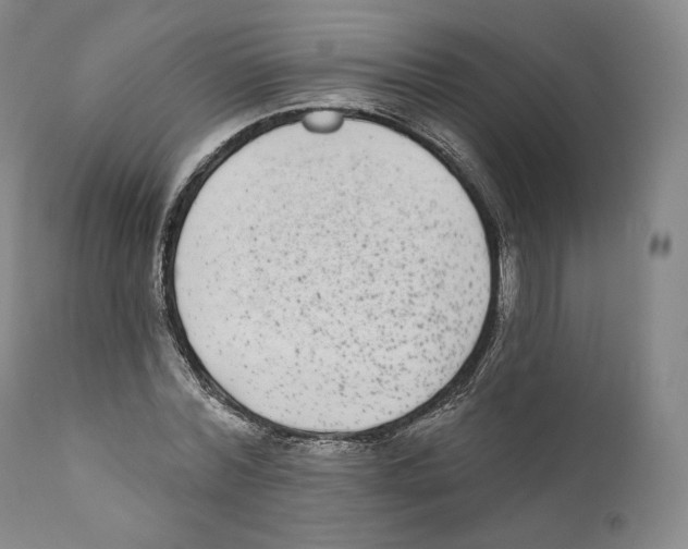 X0000110720780200907101403