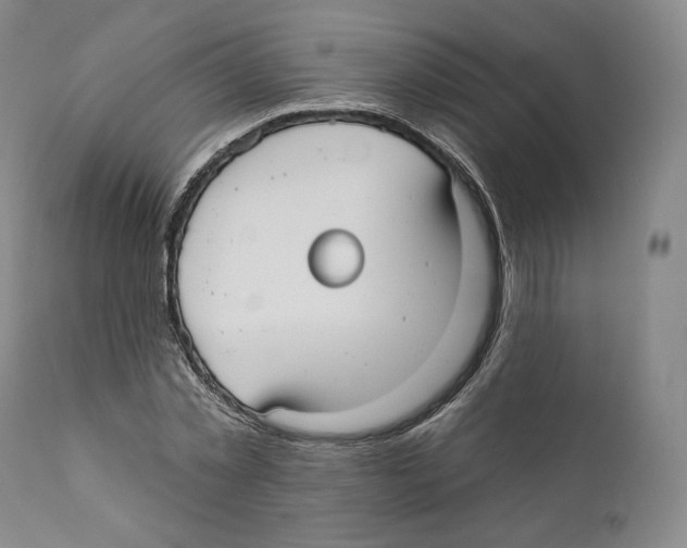 X0000110720781200907101403