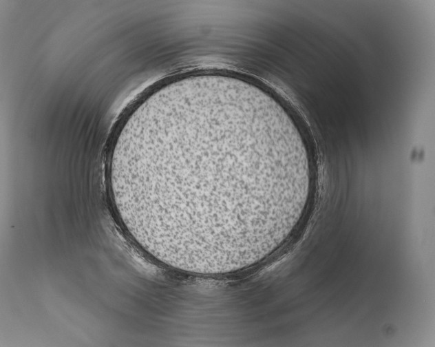 X0000110720782200907101403