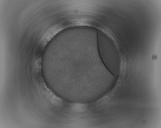 X0000110720785200907101403